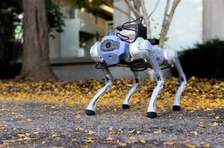 Are robot dogs real?