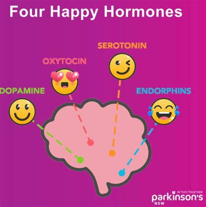 Can hormones make you crave alcohol?