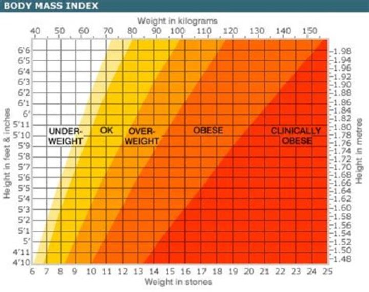 Can I have a baby if I am overweight?