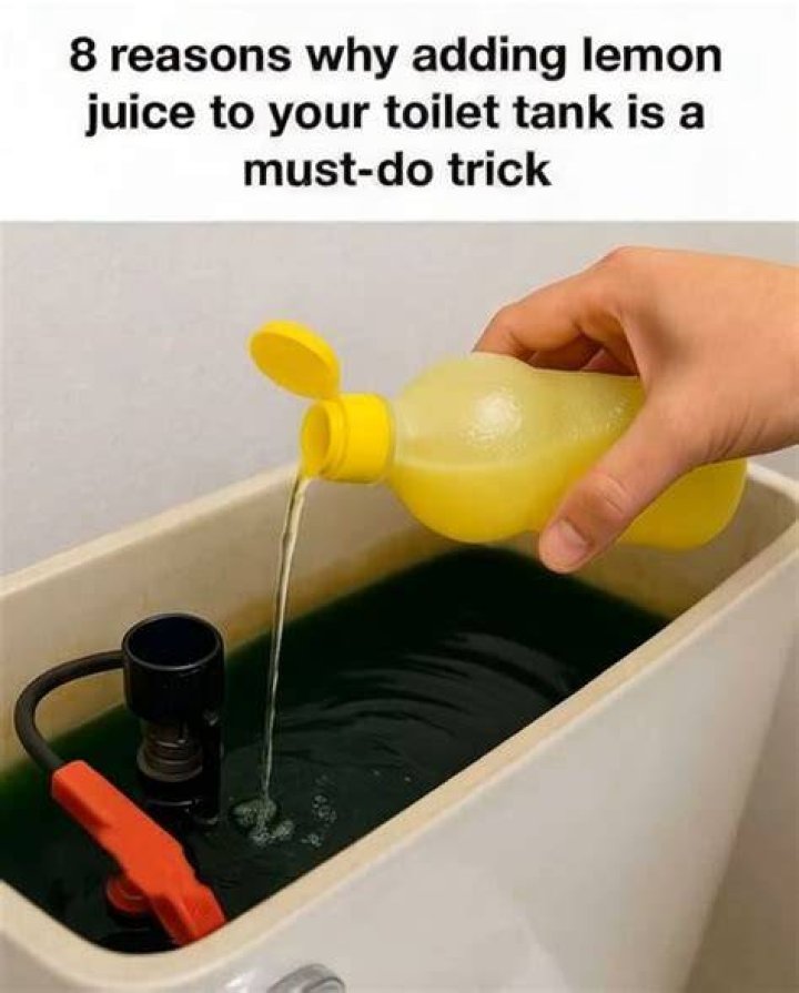 Can I put lemon juice in the toilet?