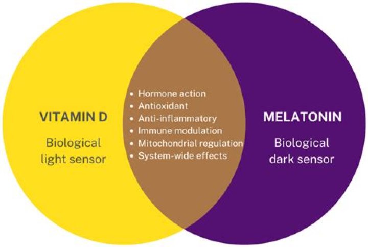 Can I take vitamin D and melatonin together?