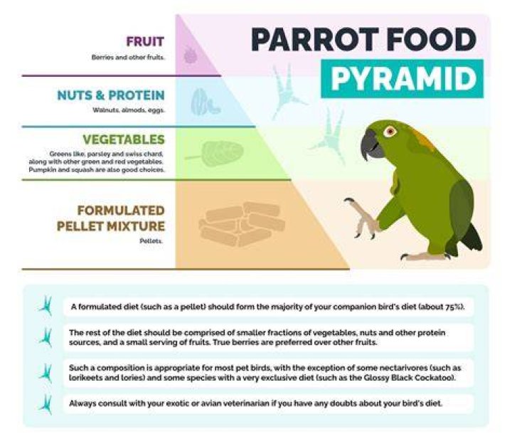 Can parrots eat Nutella?