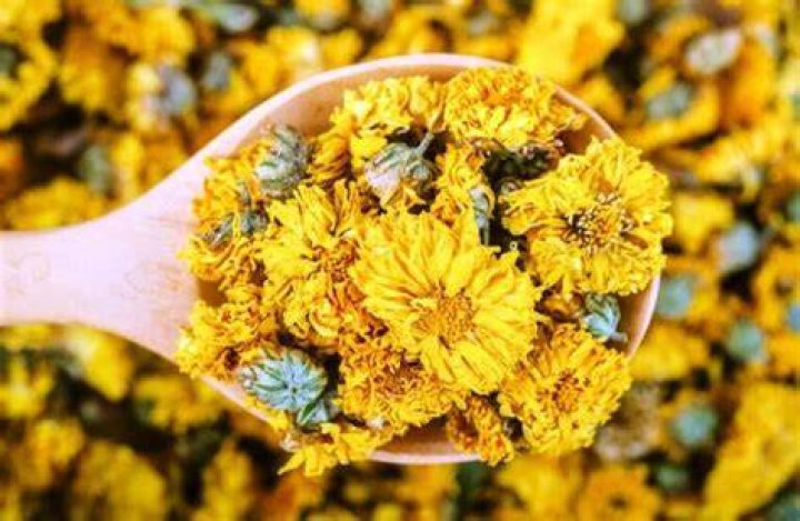 Can you eat chrysanthemum leaves?