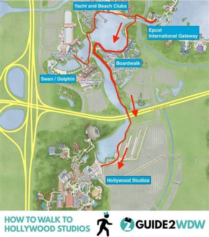 Can you walk from Caribbean Beach to Hollywood Studios?