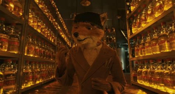Did Mr. Fox give rat cider?