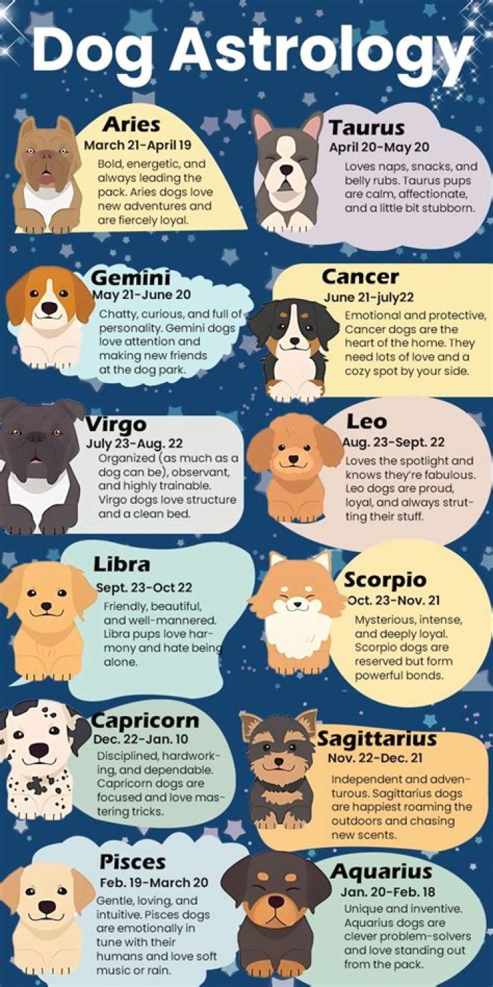 Do dogs have zodiac?