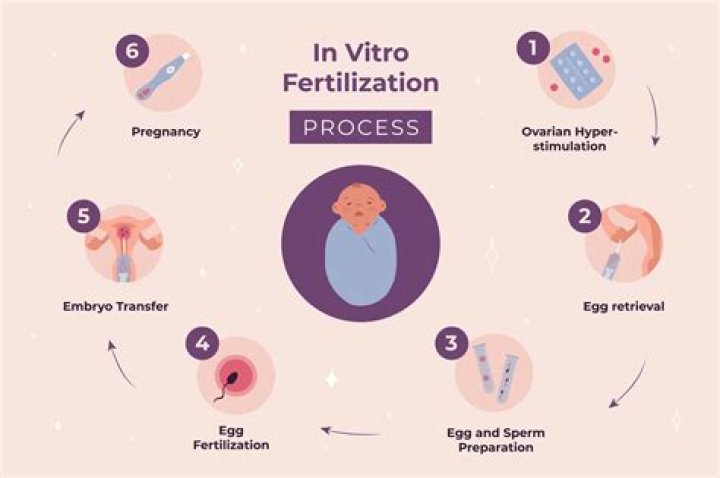 Do IVF babies have learning difficulties?