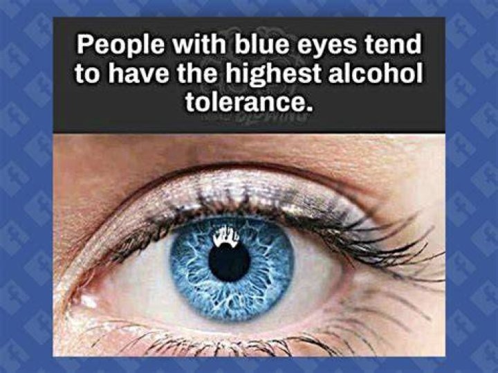 Do people with blue eyes have a higher alcohol tolerance?