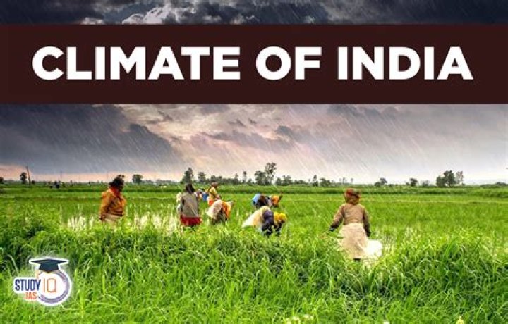 Does India have Mediterranean forest?