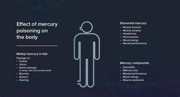 Does mercury leave the body?