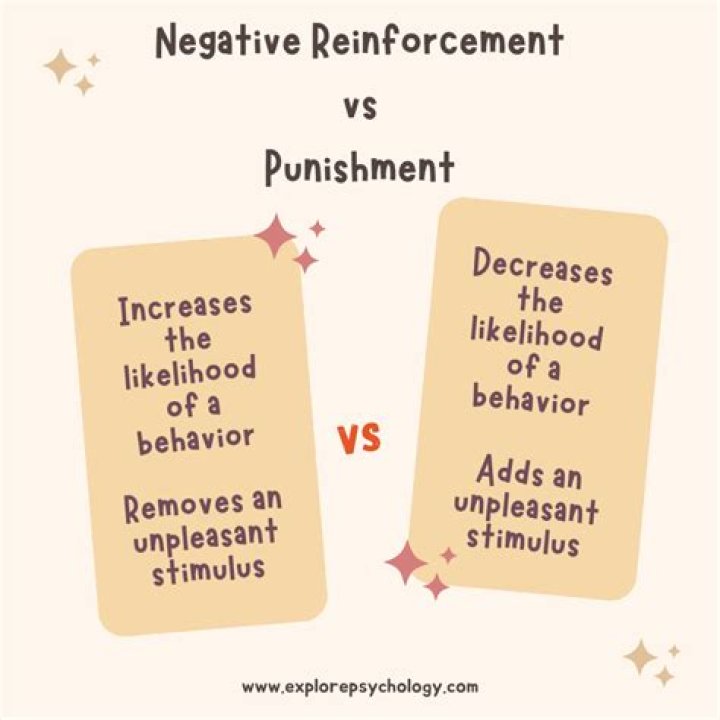 Does positive reinforcement work better than punishment?
