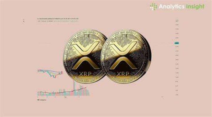 How big can XRP go?