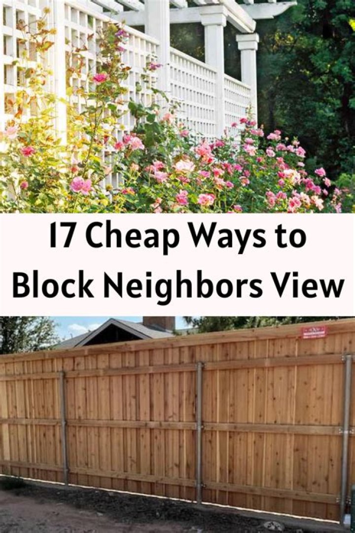 How close to the neighbors can I build a fence?