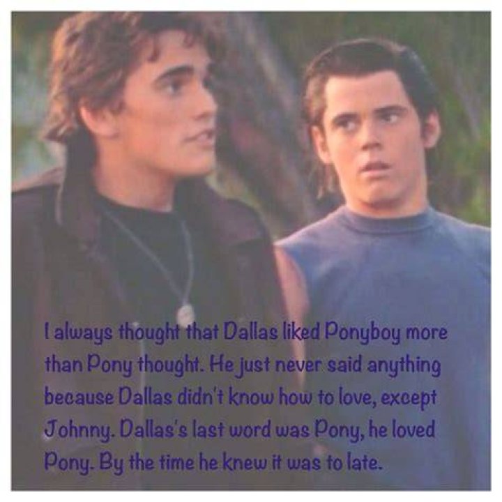 How did Ponyboy describe Dally's death?