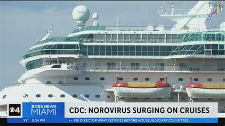How do I avoid getting the norovirus on a cruise?