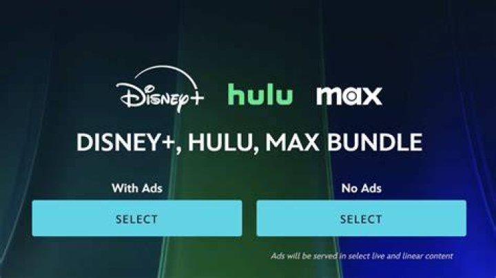 How do I bundle if I already have Disney Plus?