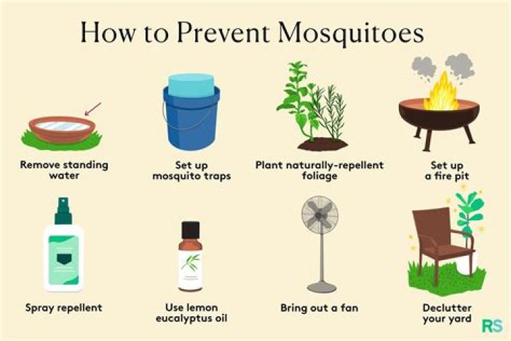 How do I get rid of mosquitoes in my yard naturally?