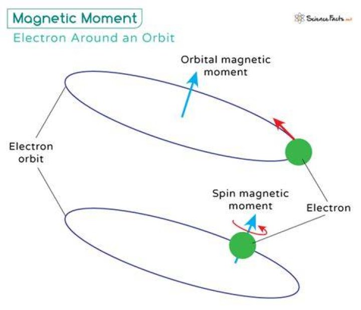 How do you calculate the magnetic moment of an electron?