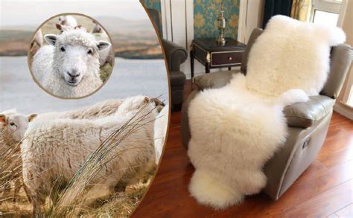 How do you know if sheepskin is real?