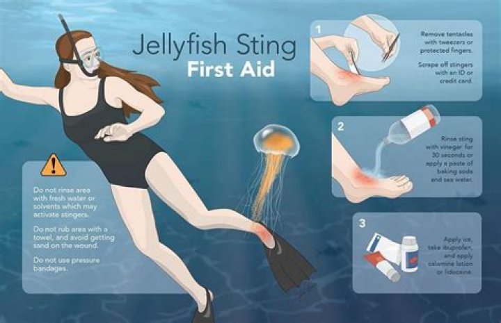 How do you stop jellyfish from snorkeling?