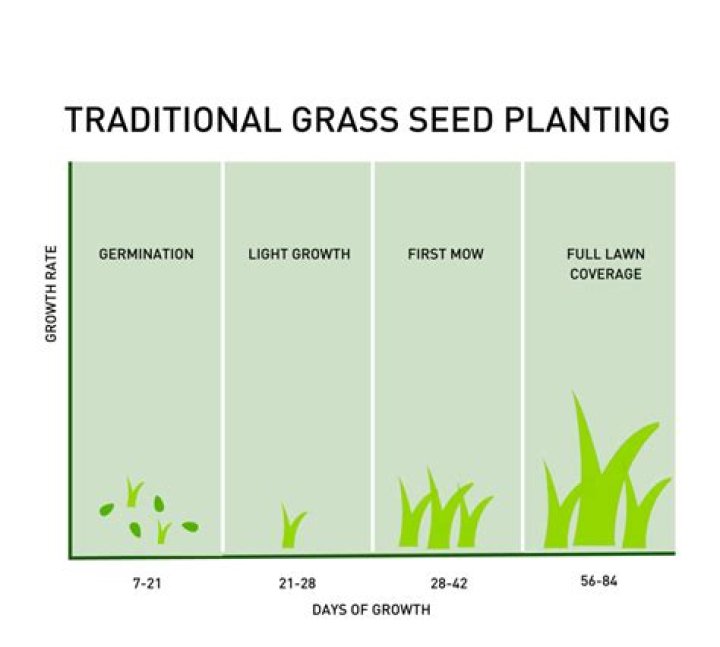 How long does it take for grass to grow from topsoil?