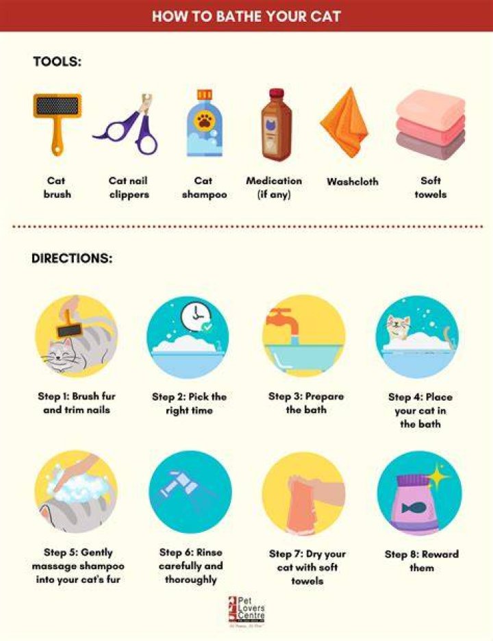How often should I bathe my kitten?