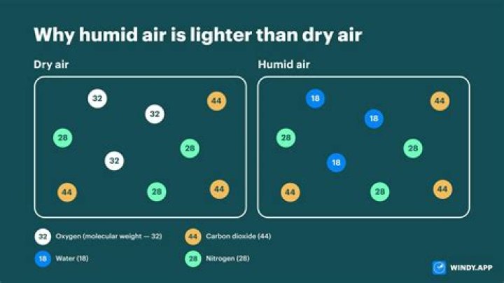 Is humid air good for lungs?