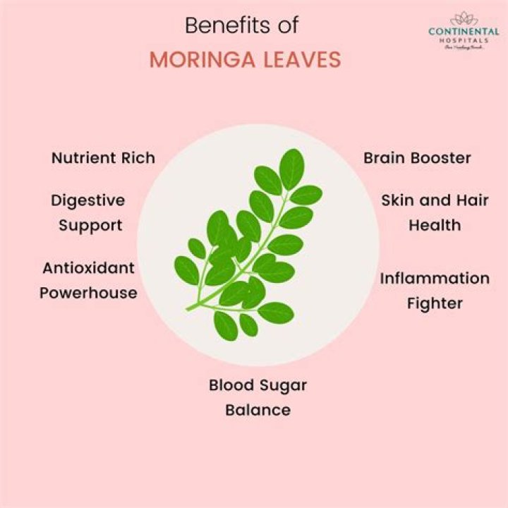 Is moringa good before bed?