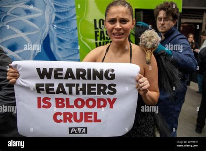 Is ostrich feathers cruel?