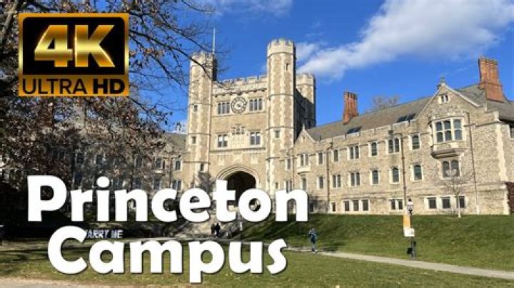 Is Princeton University a party school?