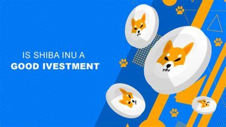 Is Shiba Inu a good investment?