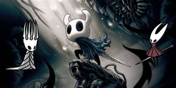 Is the hollow knight the king's son?