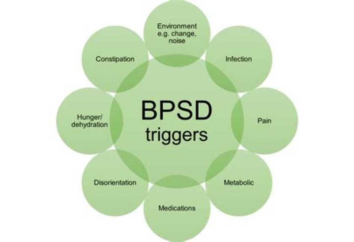 What are common behavioral triggers for patients with dementia?