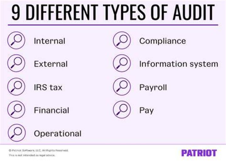 What are the types of auditing?