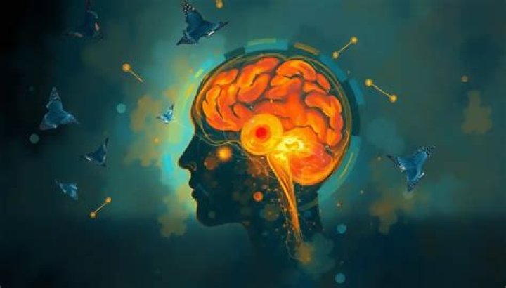 What betrayal does to the brain?