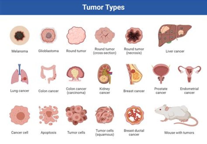 What cancers are slow growing?