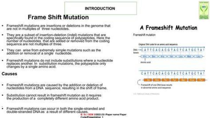 What causes a frame shift?