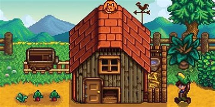 What does the bath do in Stardew Valley?