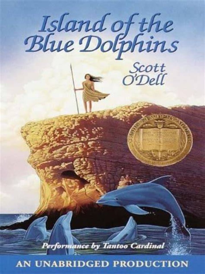 What happens in chapter 21 of Island of the Blue Dolphins?