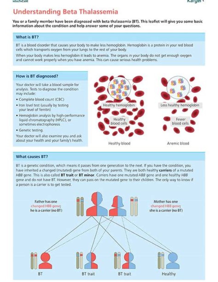 What is beta thalassemia?