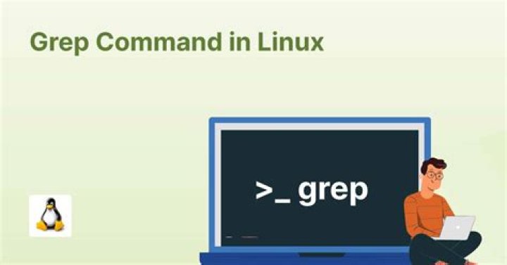 What is Flag in grep?