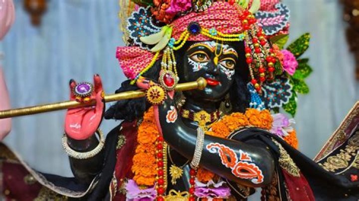 What is Krishna's favorite fruit?