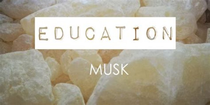 What is musk ingredient?