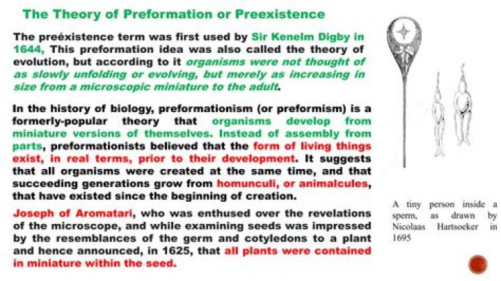 What is preformation in psychology?