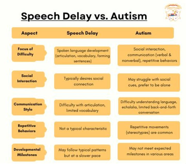 What is speech delay?