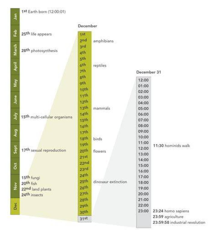 What is the first year of the world?