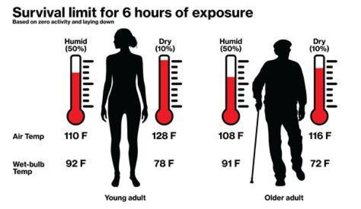 What is the lowest water temperature a human can survive?