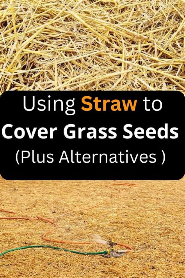 What should I put down to cover grass seed?