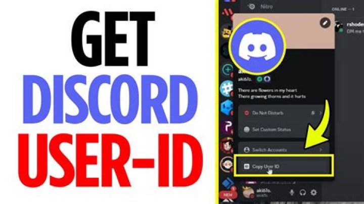 What should my user ID be?