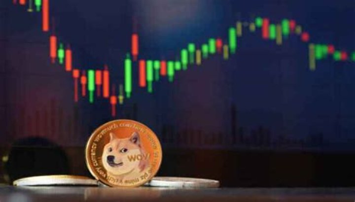 What will Dogelon be worth in 2025?